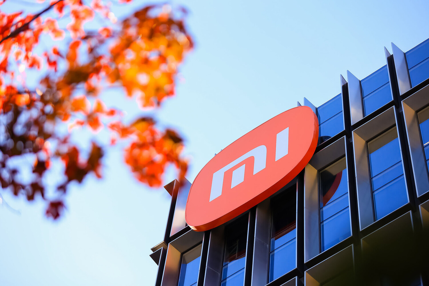 Xiaomi подала в РФ заявку на регистрацию торговой марки для пива и чая